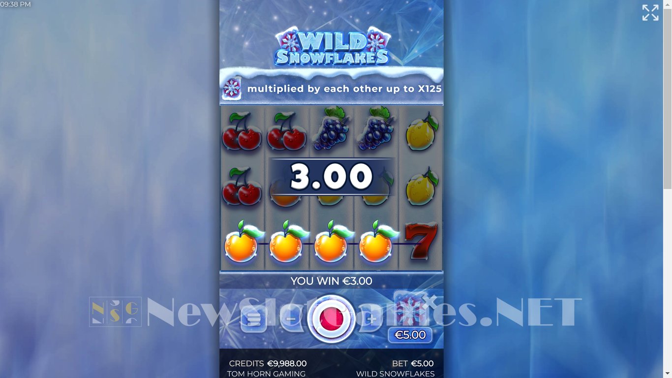 Wild Snowflakes Slot Slot Image in Demo - pic. 3