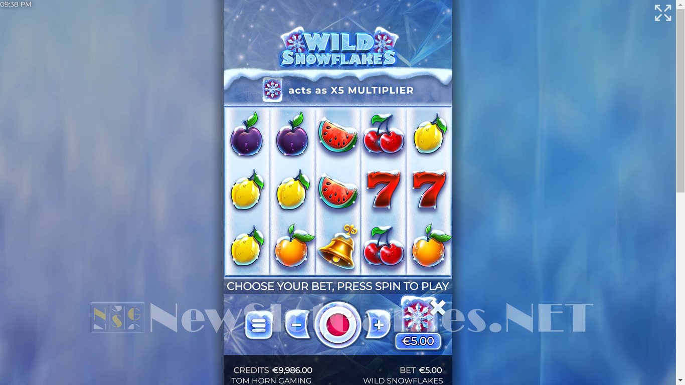 Wild Snowflakes Slot Slot Image in Demo - pic. 4