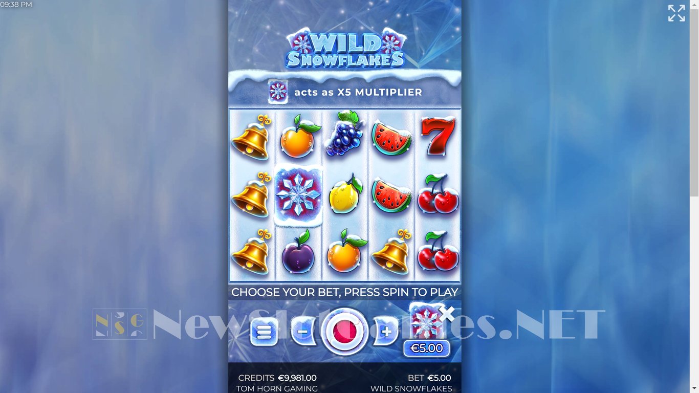 Wild Snowflakes Slot Slot Image in Demo - pic. 5
