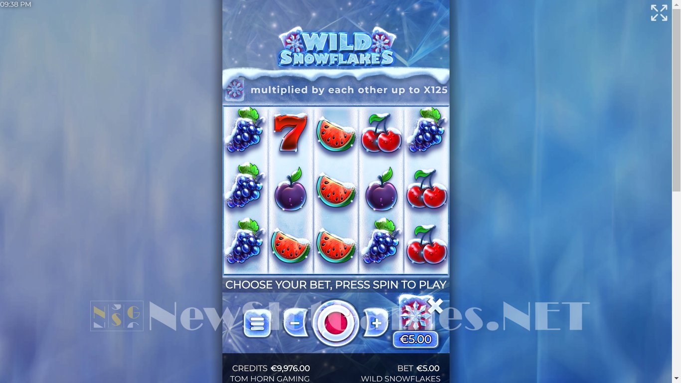 Wild Snowflakes Slot Slot Image in Demo - pic. 6