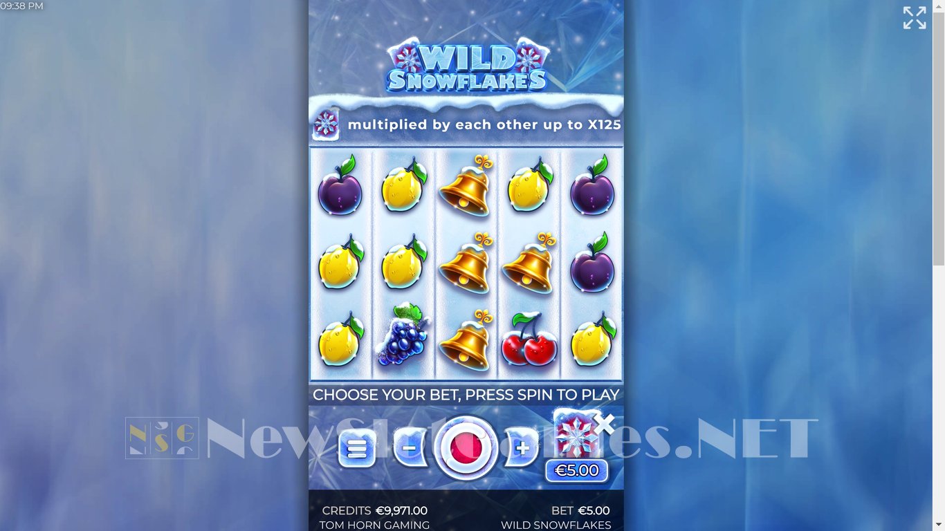 Wild Snowflakes Slot Slot Image in Demo - pic. 7