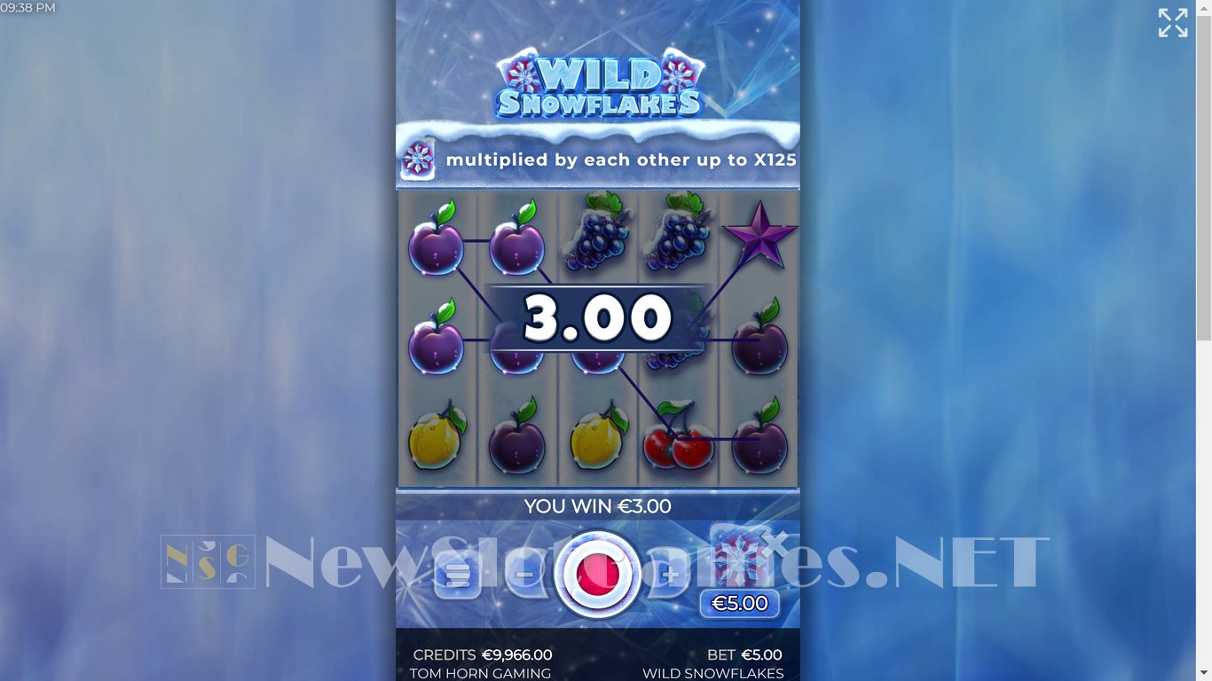 Wild Snowflakes Slot Slot Image in Demo - pic. 8