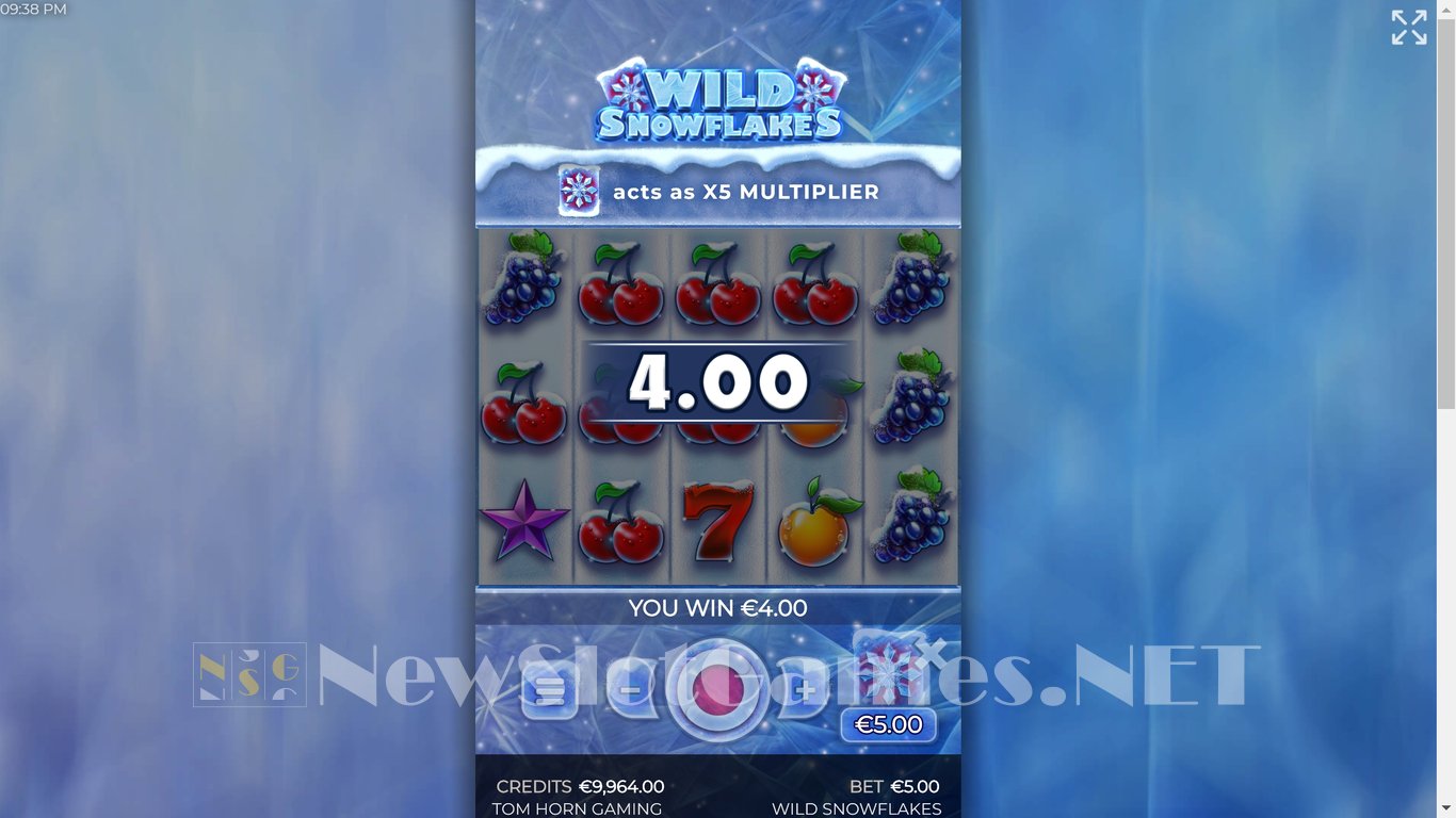 Wild Snowflakes Slot Slot Image in Demo - pic. 9