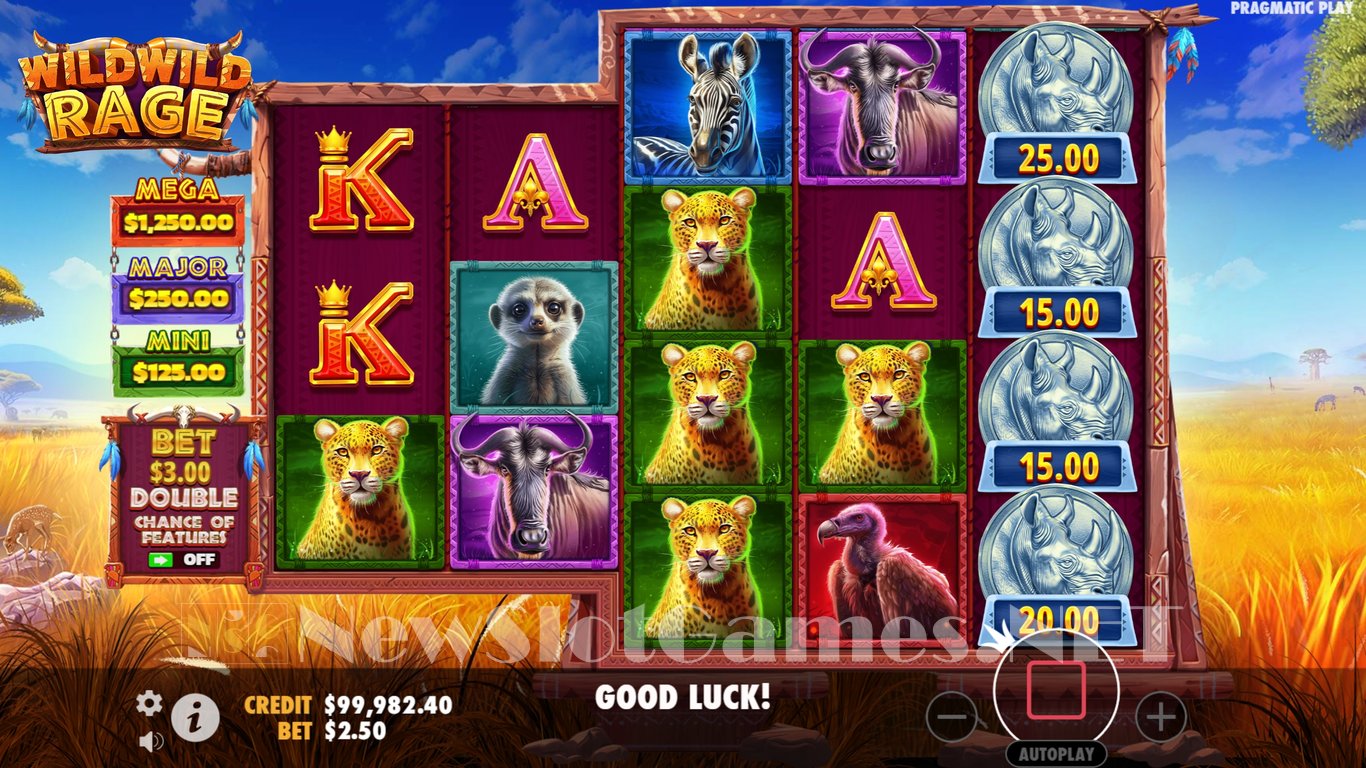 Wild Wild Rage Slot Slot Image in Demo - pic. 5