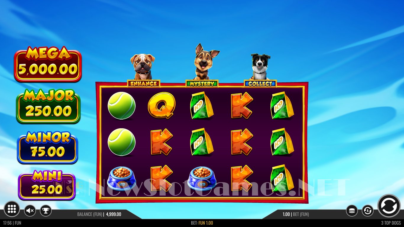 3 Top Dogs Slot Slot Image in Demo - pic. 2