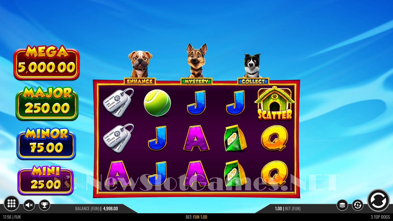 3 Top Dogs Slot Slot Image in Demo - pic. 3