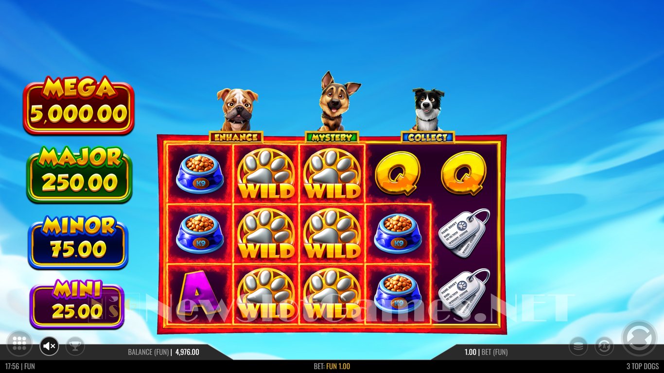 3 Top Dogs Slot Slot Image in Demo - pic. 4