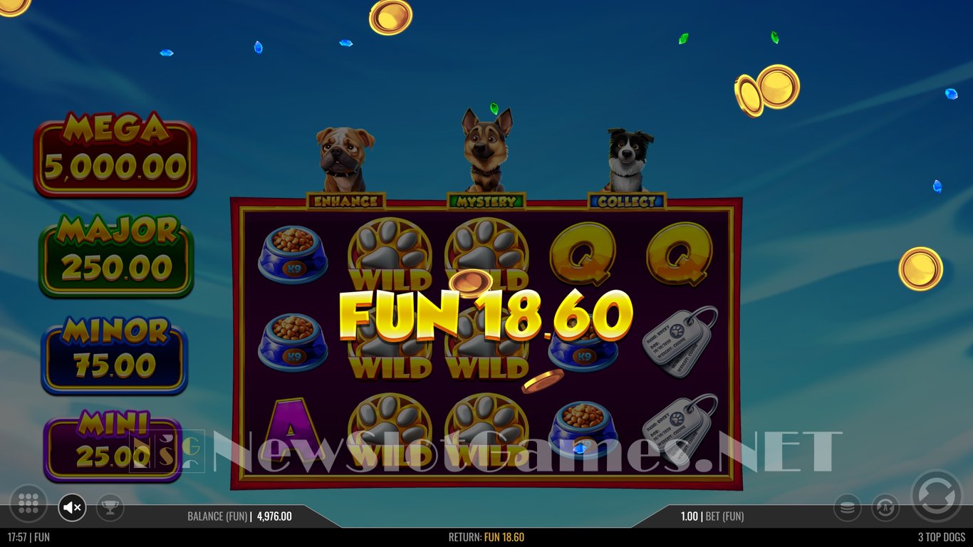 3 Top Dogs Slot Slot Image in Demo - pic. 5