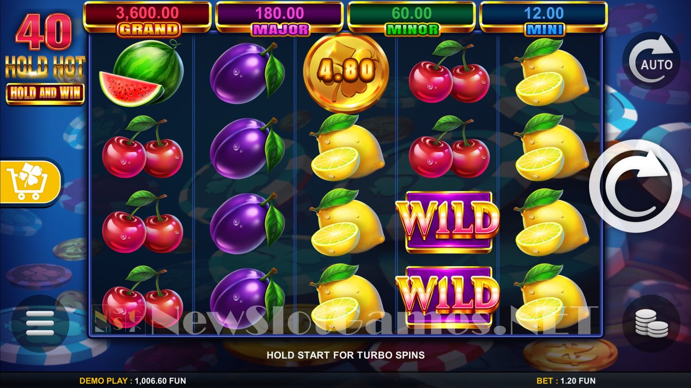 40 Hold Hot Hold And Win Slot Slot Image in Demo - pic. 2