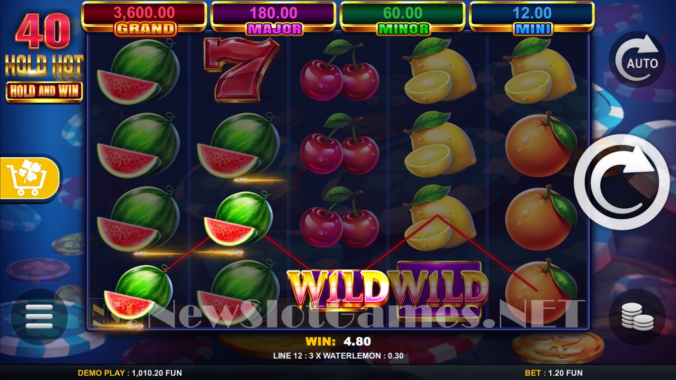 40 Hold Hot Hold And Win Slot Slot Image in Demo - pic. 4