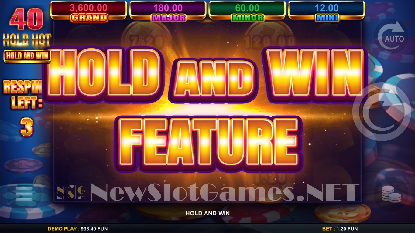 40 Hold Hot Hold And Win Slot Slot Image in Demo - pic. 7