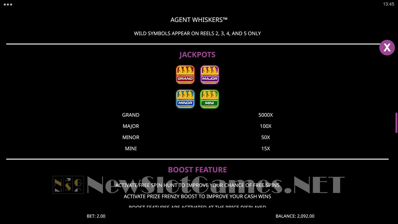 Agent Whiskers Slot Slot Image in Demo - pic. 5