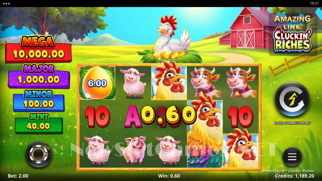 Amazing Link Cluckin Riches Slot Slot Image in Demo - pic. 5
