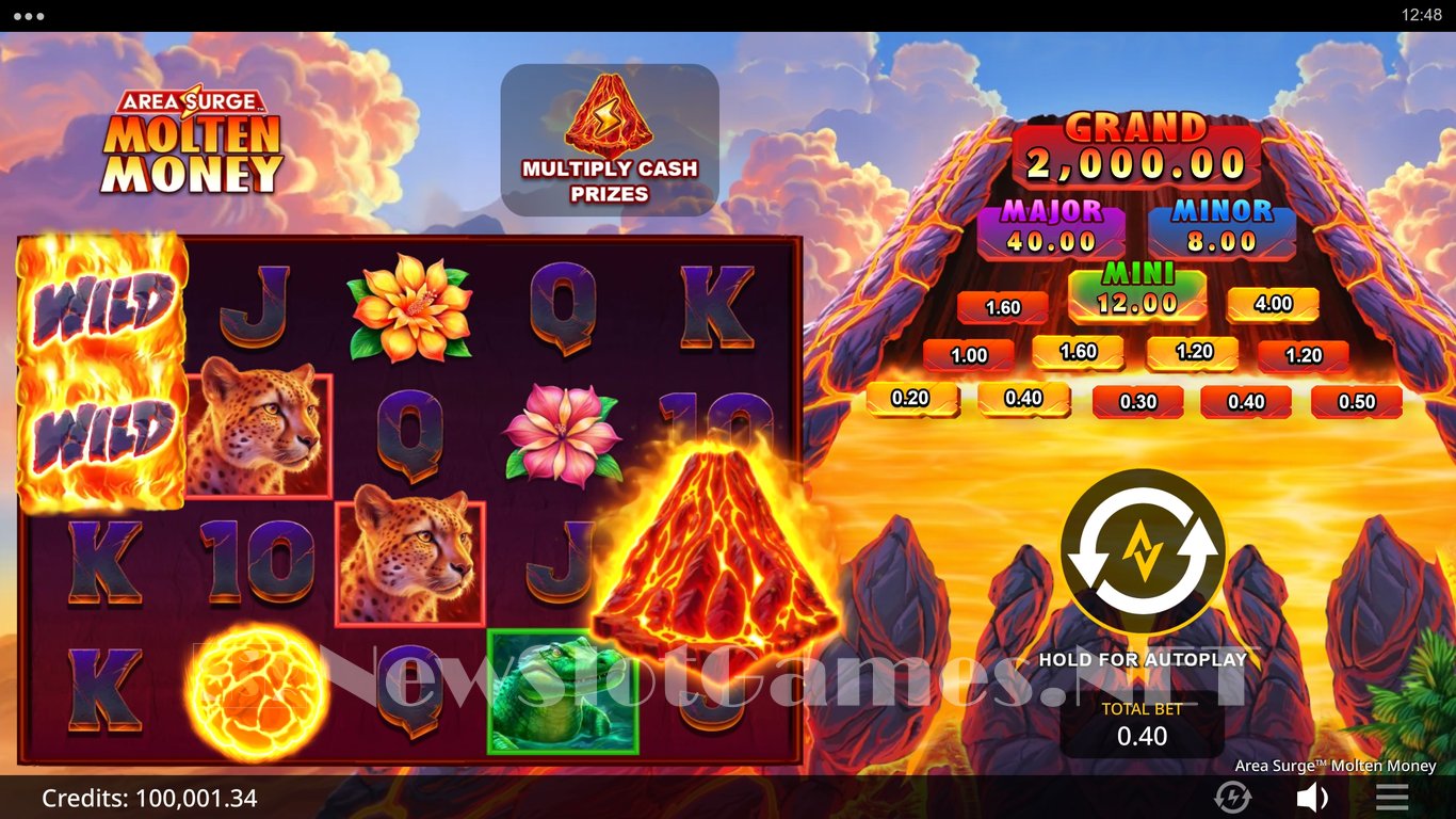 Area Surge Molten Money Slot Slot Image in Demo - pic. 5