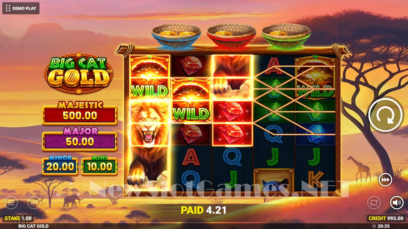 Big Cat Gold Slot Slot Image in Demo - pic. 5
