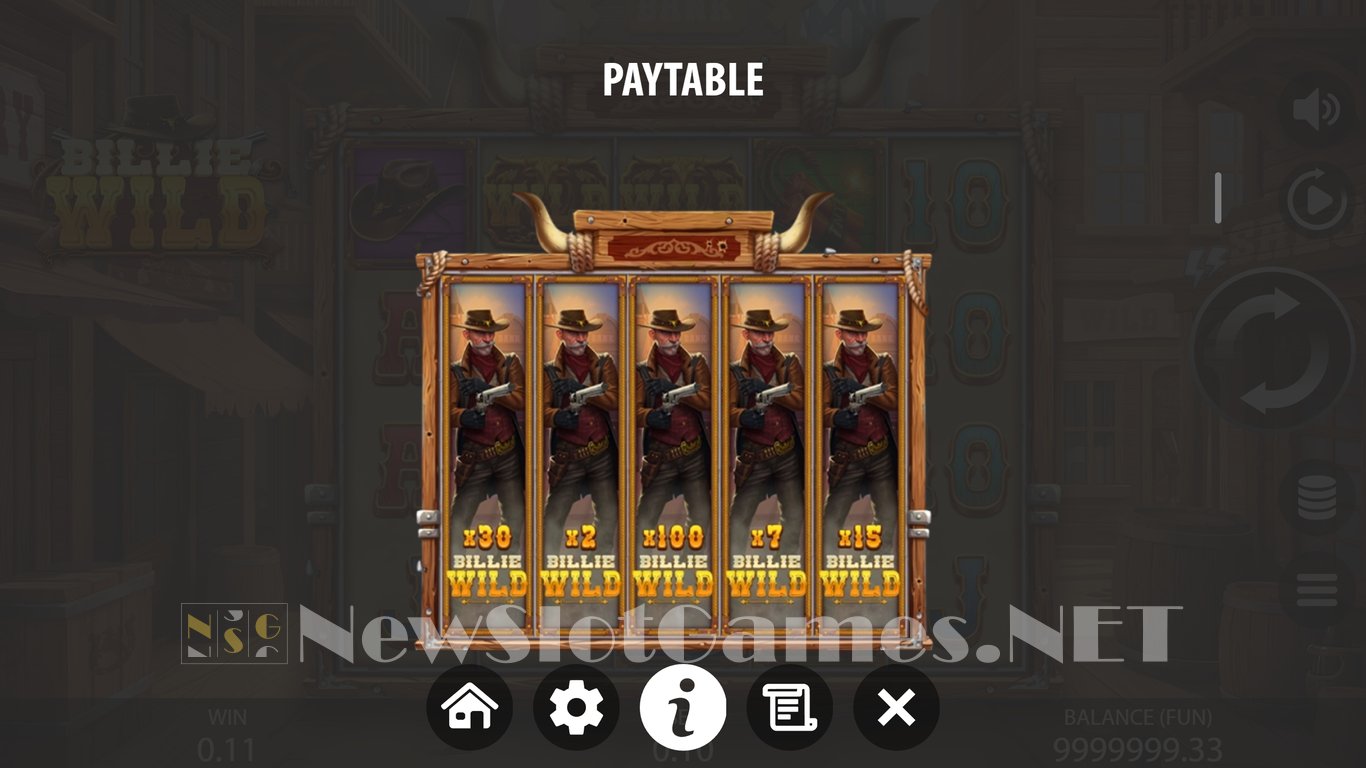 Billie Wild Slot Slot Image in Demo - pic. 8