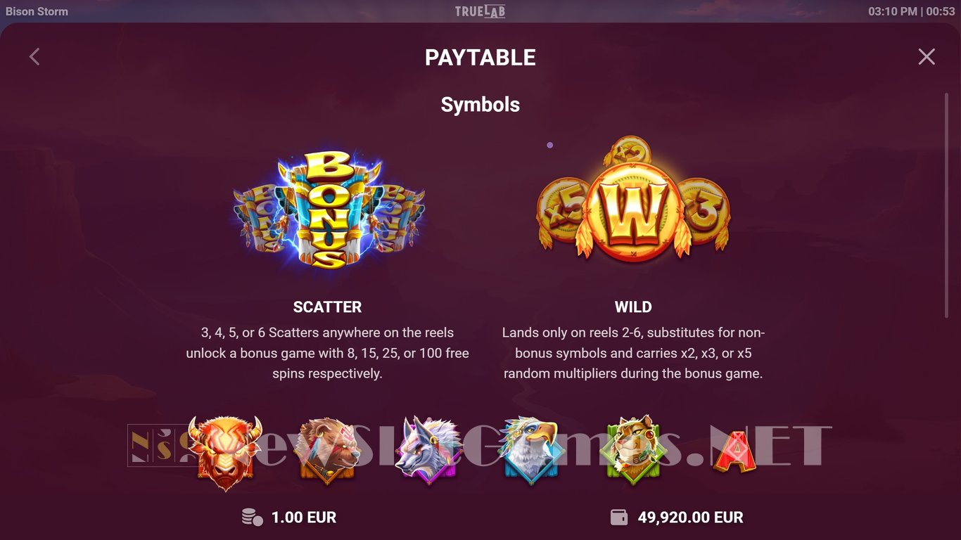 Bison Storm Slot Slot Image in Demo - pic. 10