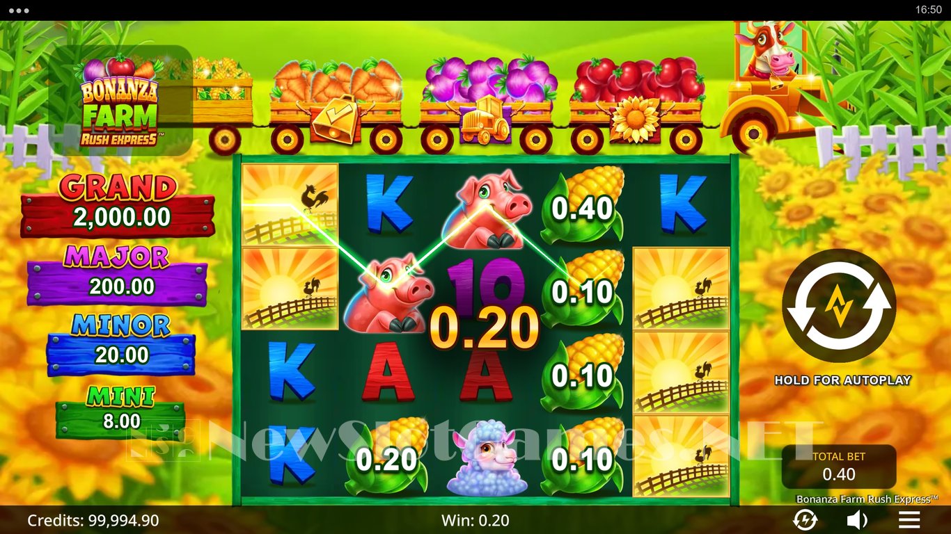 Bonanza Farm Rush Express Slot Slot Image in Demo - pic. 8