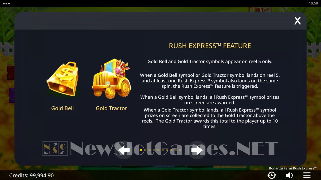 Bonanza Farm Rush Express Slot Slot Image in Demo - pic. 9