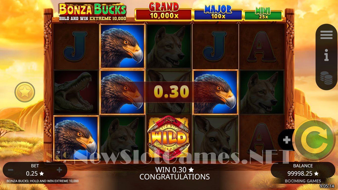 Bonza Bucks Hold and Win Extreme 10,000 Slot Slot Image in Demo - pic. 5