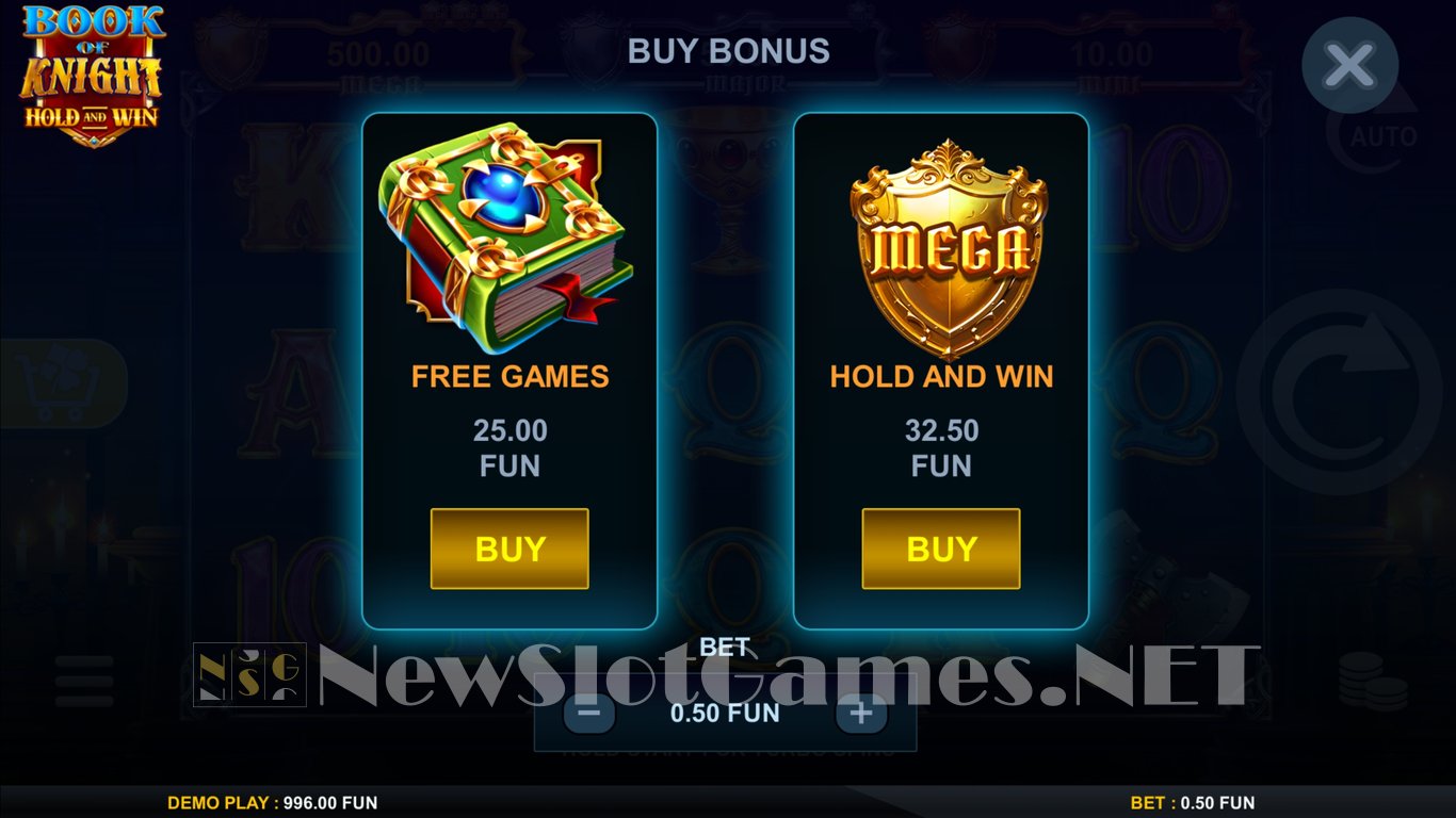 Book of Knight Hold and Win Slot Slot Image in Demo - pic. 4