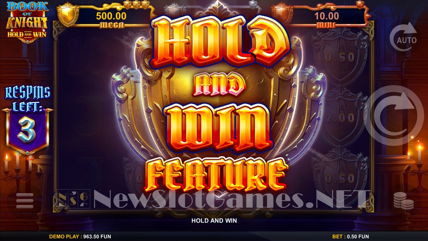 Book of Knight Hold and Win Slot Slot Image in Demo - pic. 5