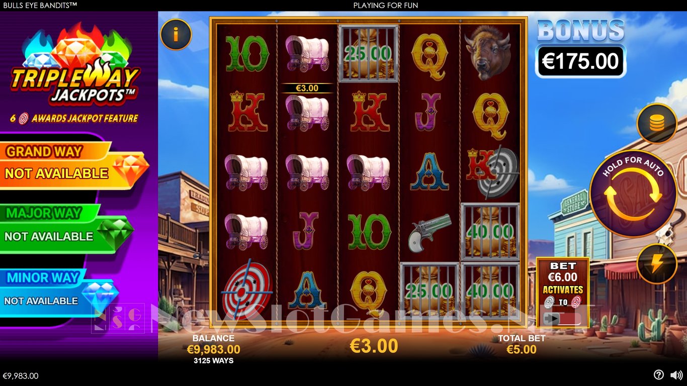 Bulls Eye Bandits Slot Slot Image in Demo - pic. 3