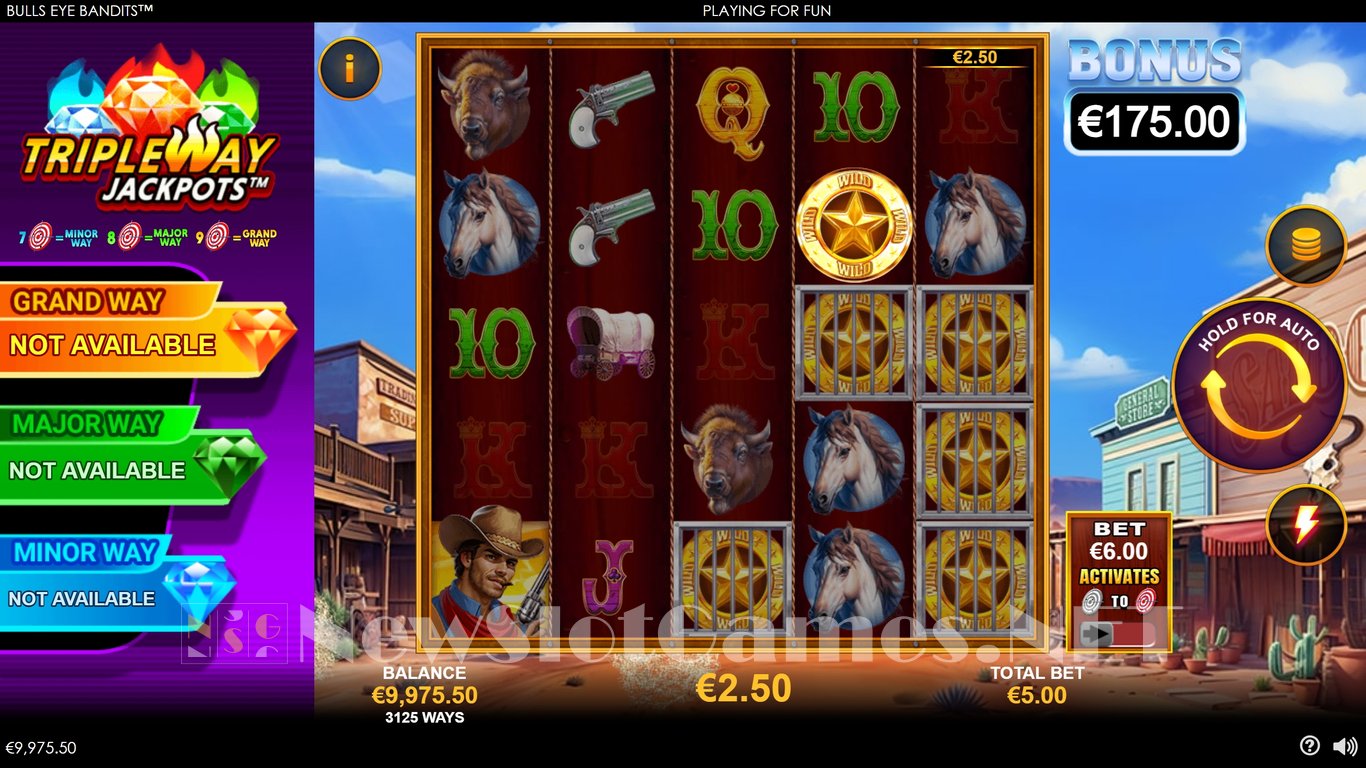 Bulls Eye Bandits Slot Slot Image in Demo - pic. 4