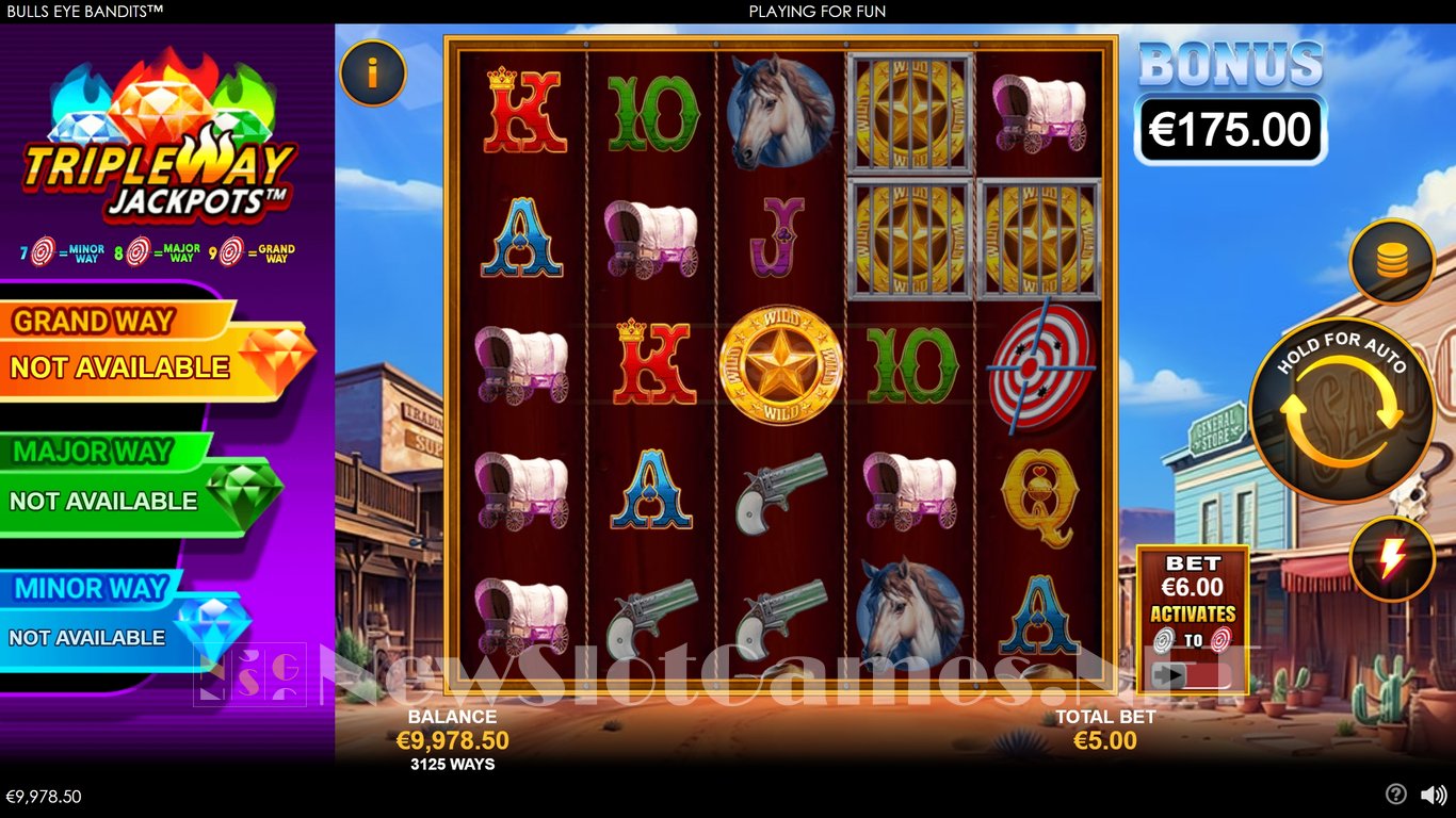 Bulls Eye Bandits Slot Slot Image in Demo - pic. 5