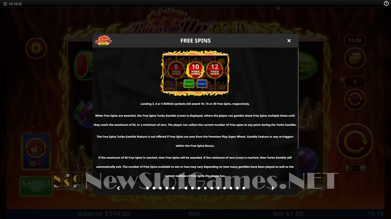 Burn Em Up Gold Slot Slot Image in Demo - pic. 6
