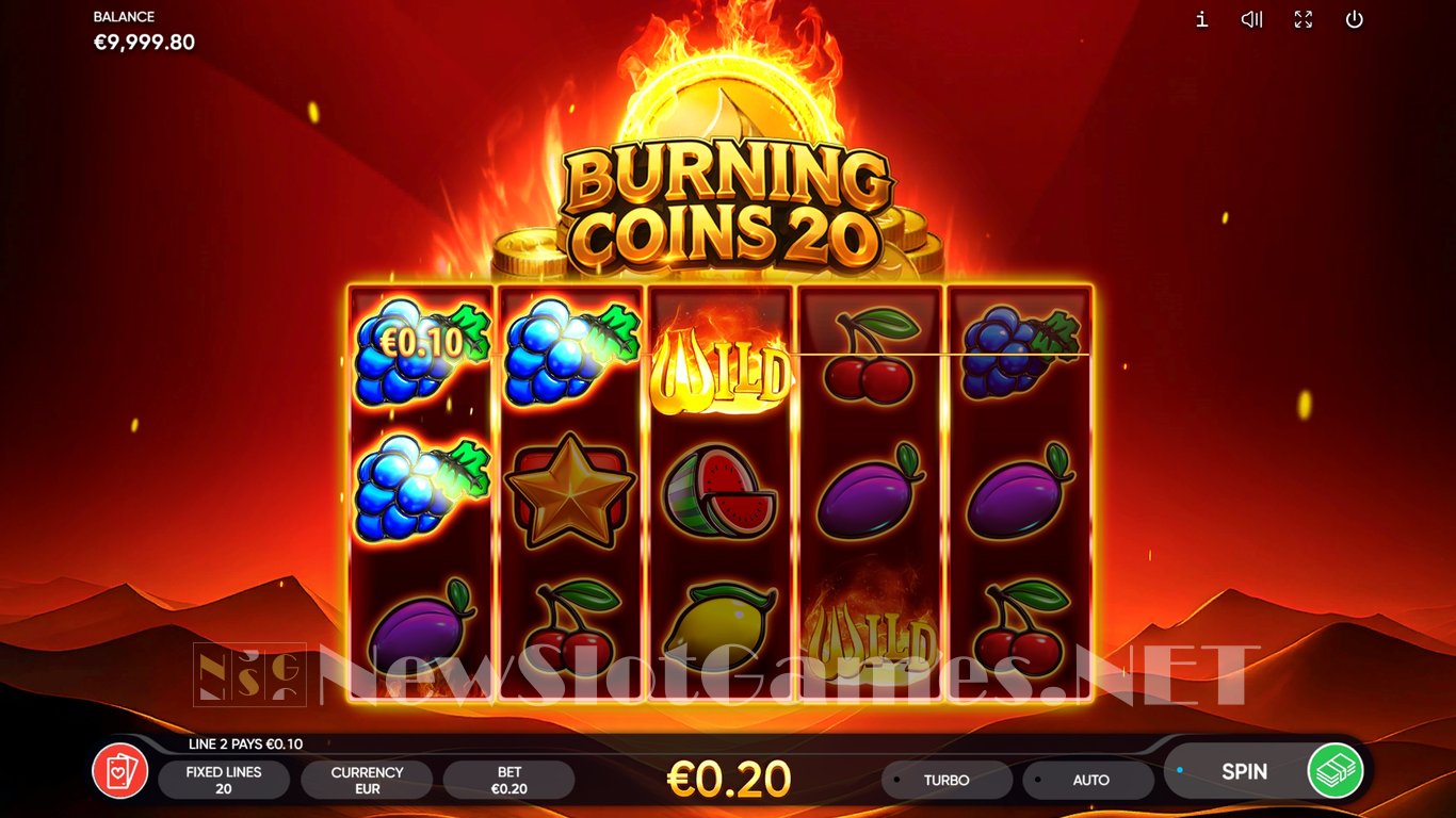 Burning Coins 20 Slot Slot Image in Demo - pic. 2