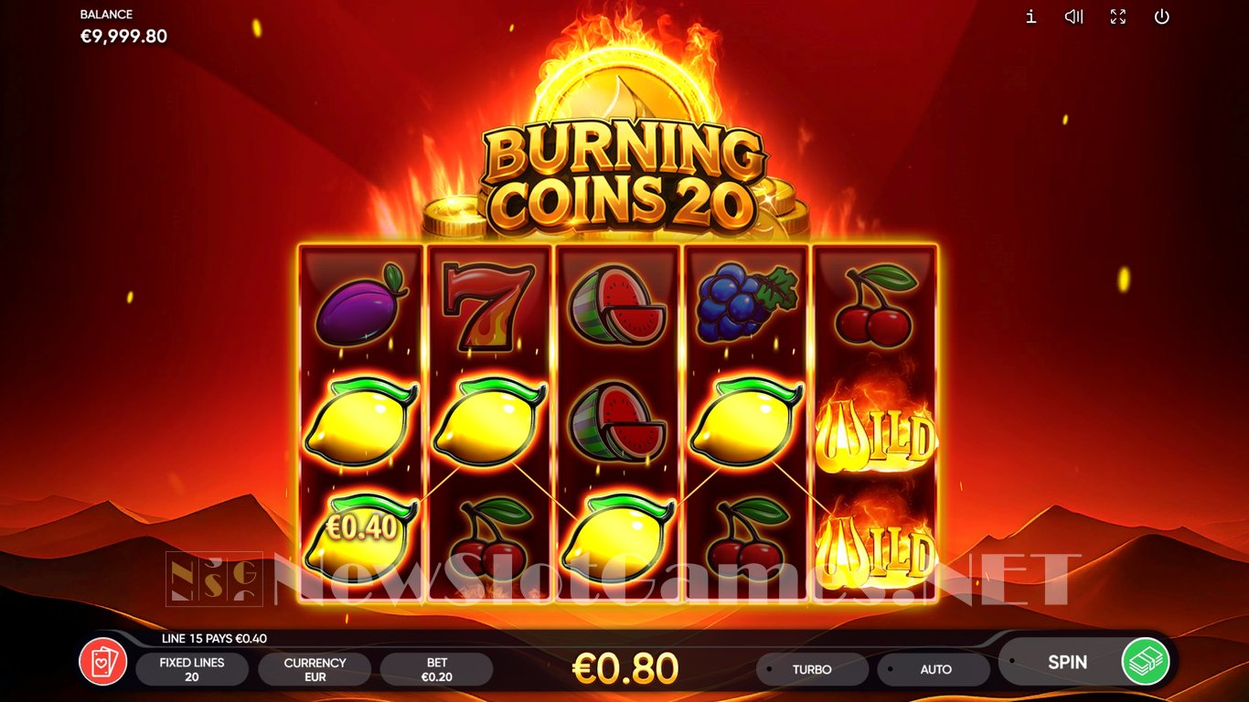 Burning Coins 20 Slot Slot Image in Demo - pic. 3