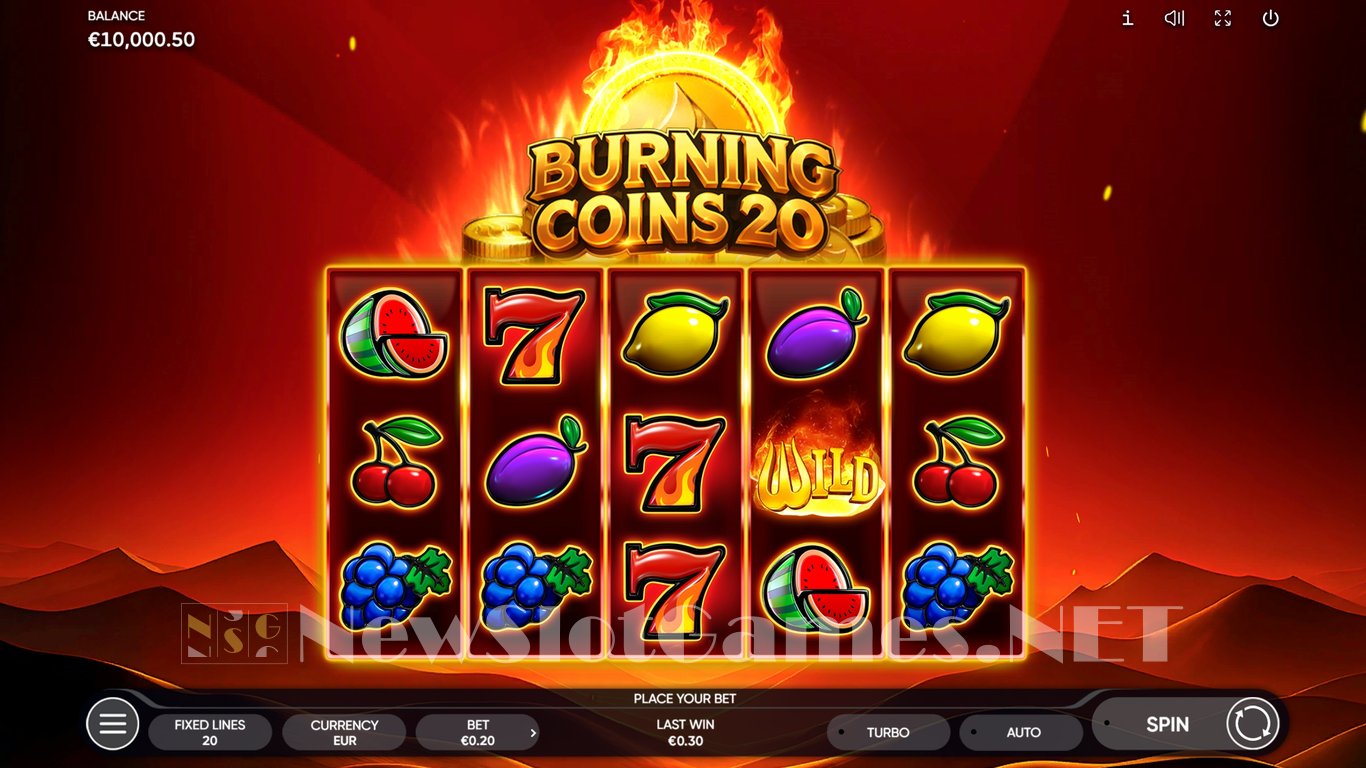Burning Coins 20 Slot Slot Image in Demo - pic. 4