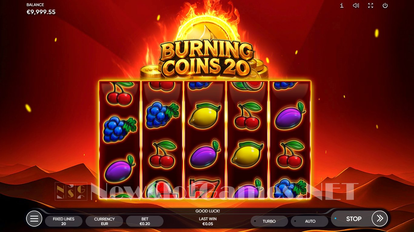 Burning Coins 20 Slot Slot Image in Demo - pic. 5