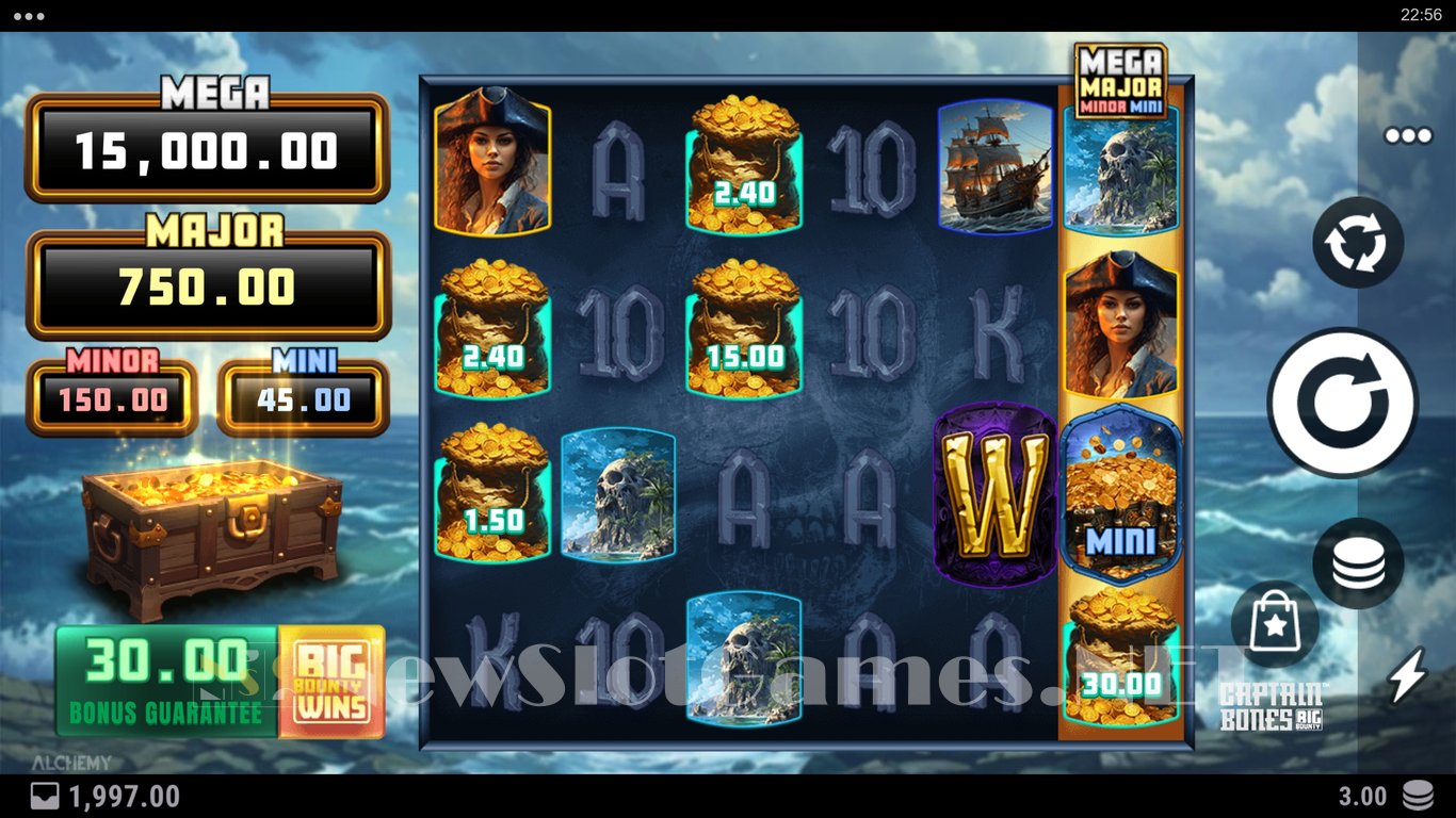 Captain Bones Big Bounty Slot Slot Image in Demo - pic. 2