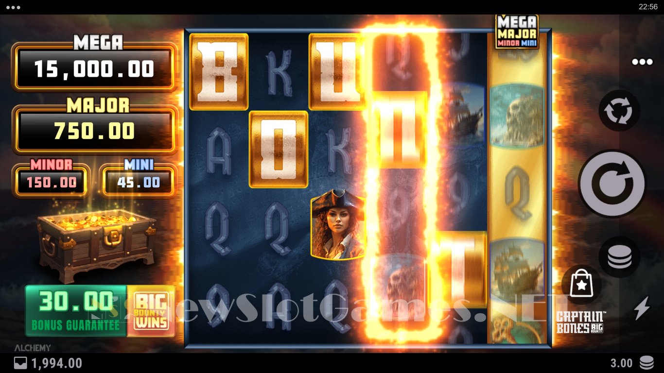 Captain Bones Big Bounty Slot Slot Image in Demo - pic. 3