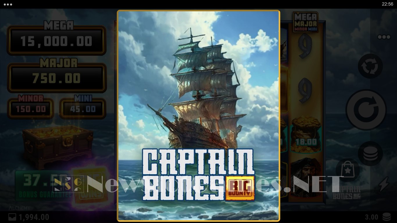 Captain Bones Big Bounty Slot Slot Image in Demo - pic. 4