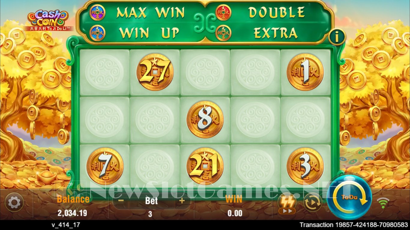 Cash Coin Slot Slot Image in Demo - pic. 2