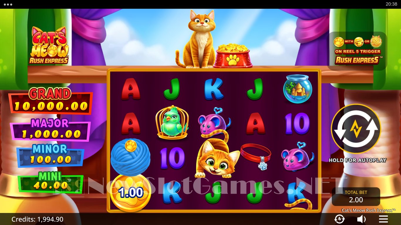 Cats Meow Rush Express Slot Slot Image in Demo - pic. 3