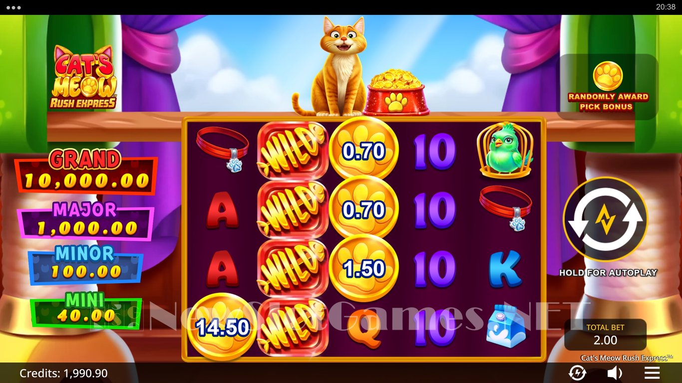 Cats Meow Rush Express Slot Slot Image in Demo - pic. 6
