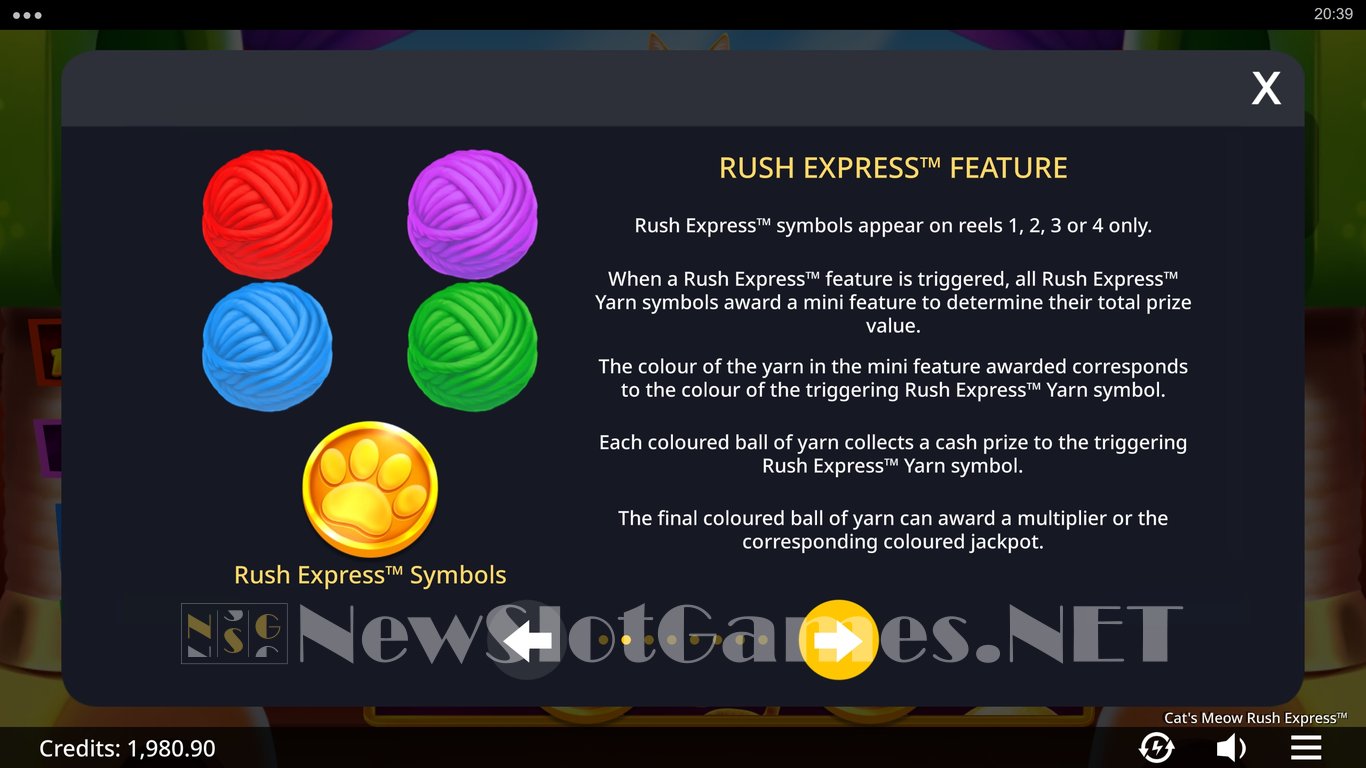Cats Meow Rush Express Slot Slot Image in Demo - pic. 8