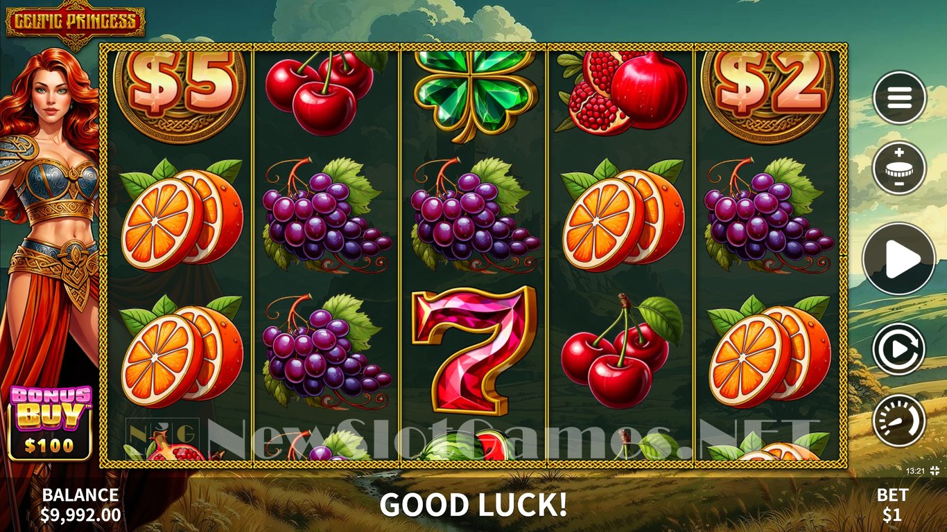 Celtic Princess Slot Slot Image in Demo - pic. 4