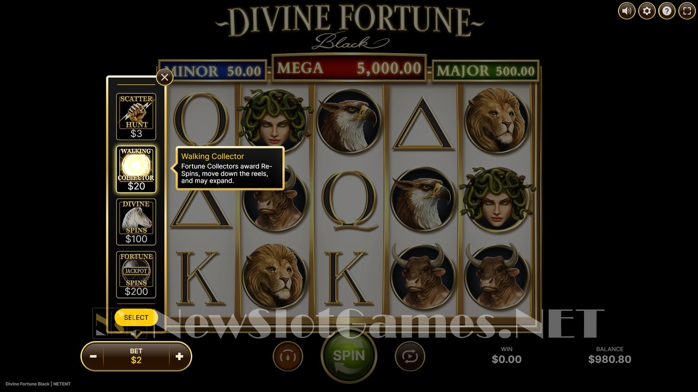 Divine Fortune Black Slot Slot Image in Demo - pic. 6