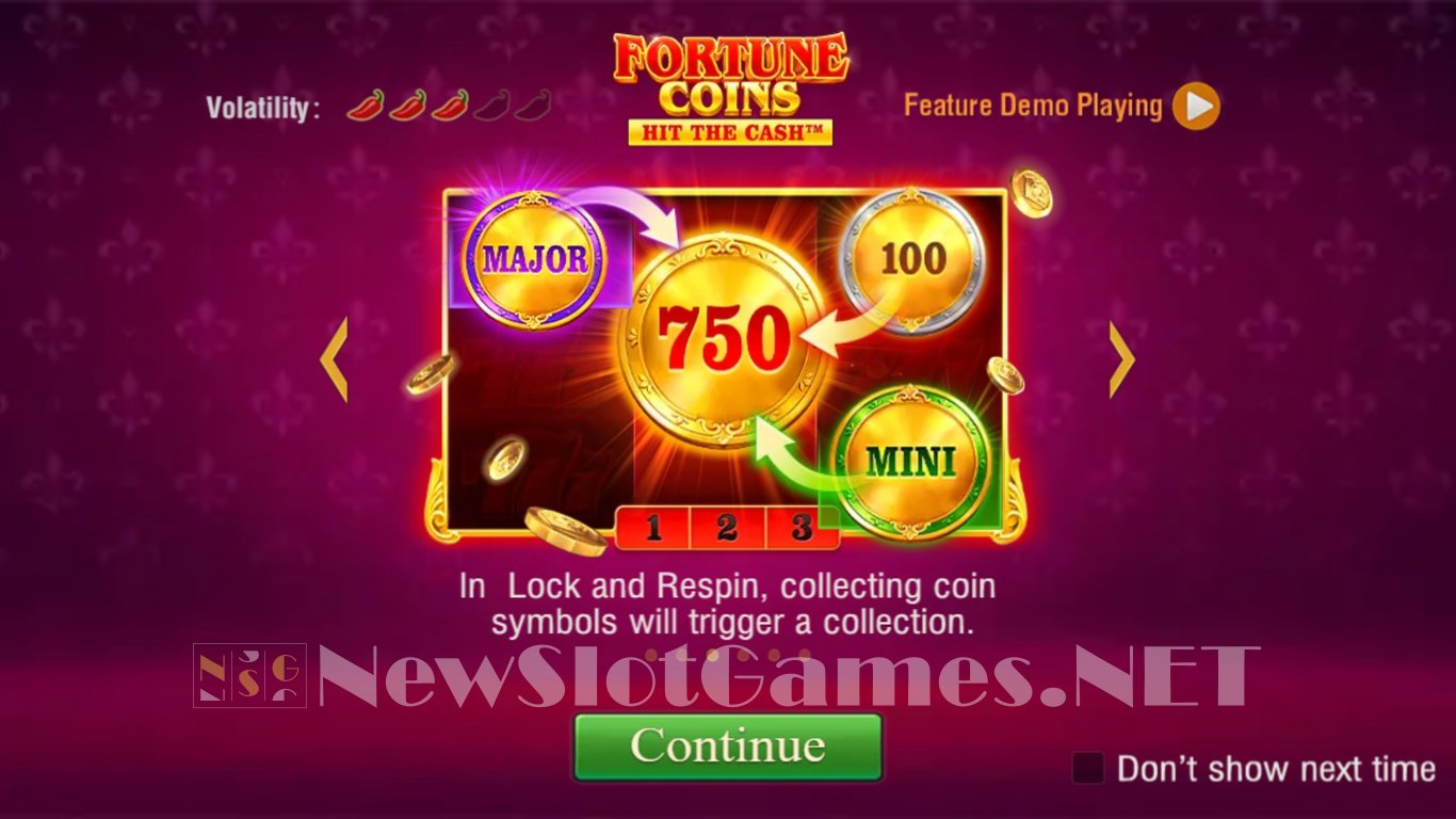 Fortune Coins Slot Demo Image