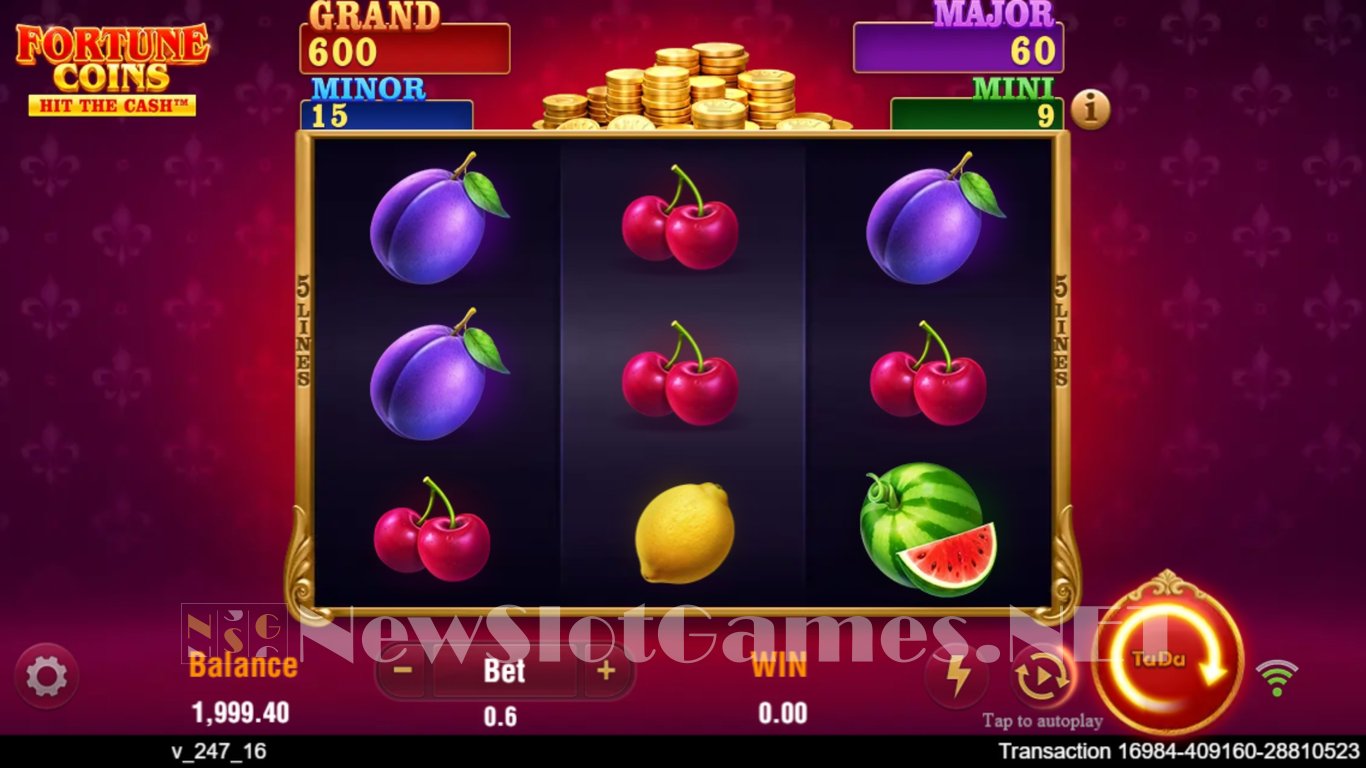 Fortune Coins Slot Slot Image in Demo - pic. 2