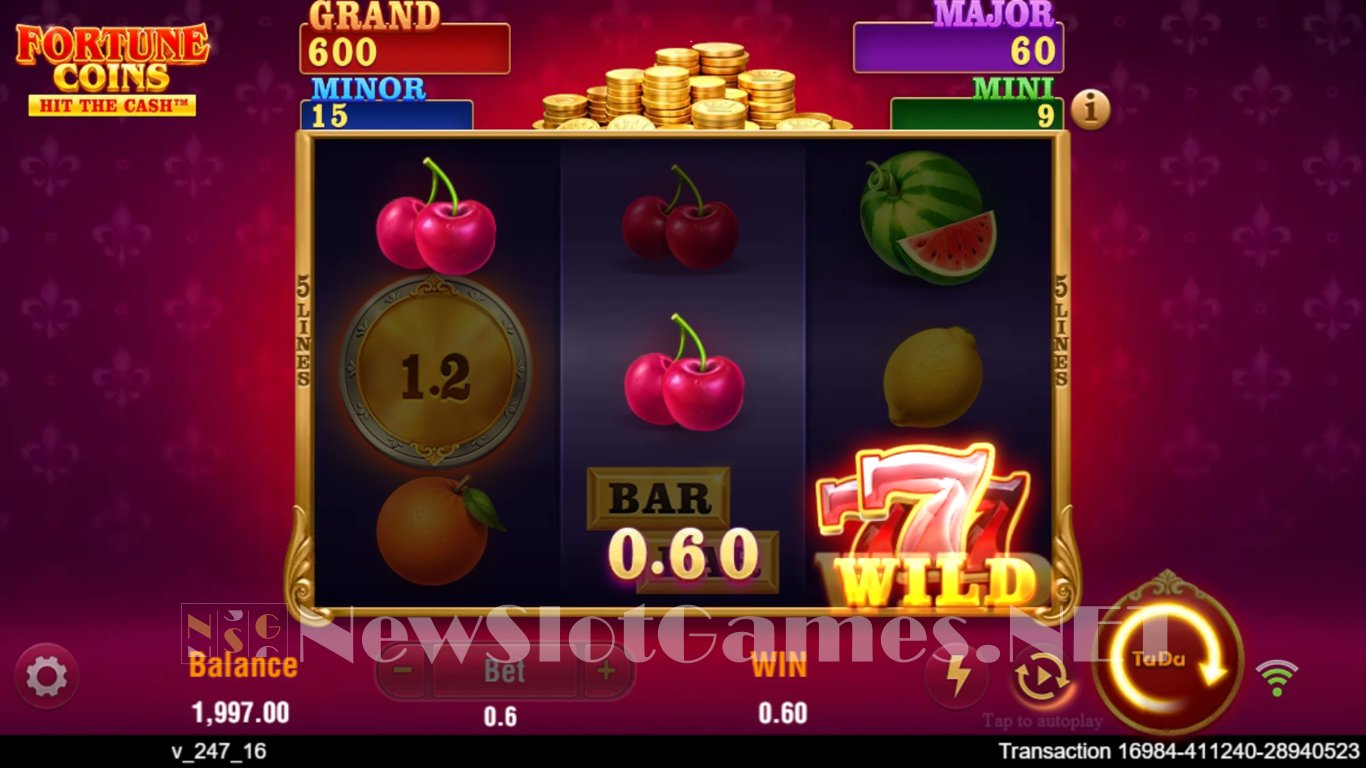 Fortune Coins Slot Slot Image in Demo - pic. 5