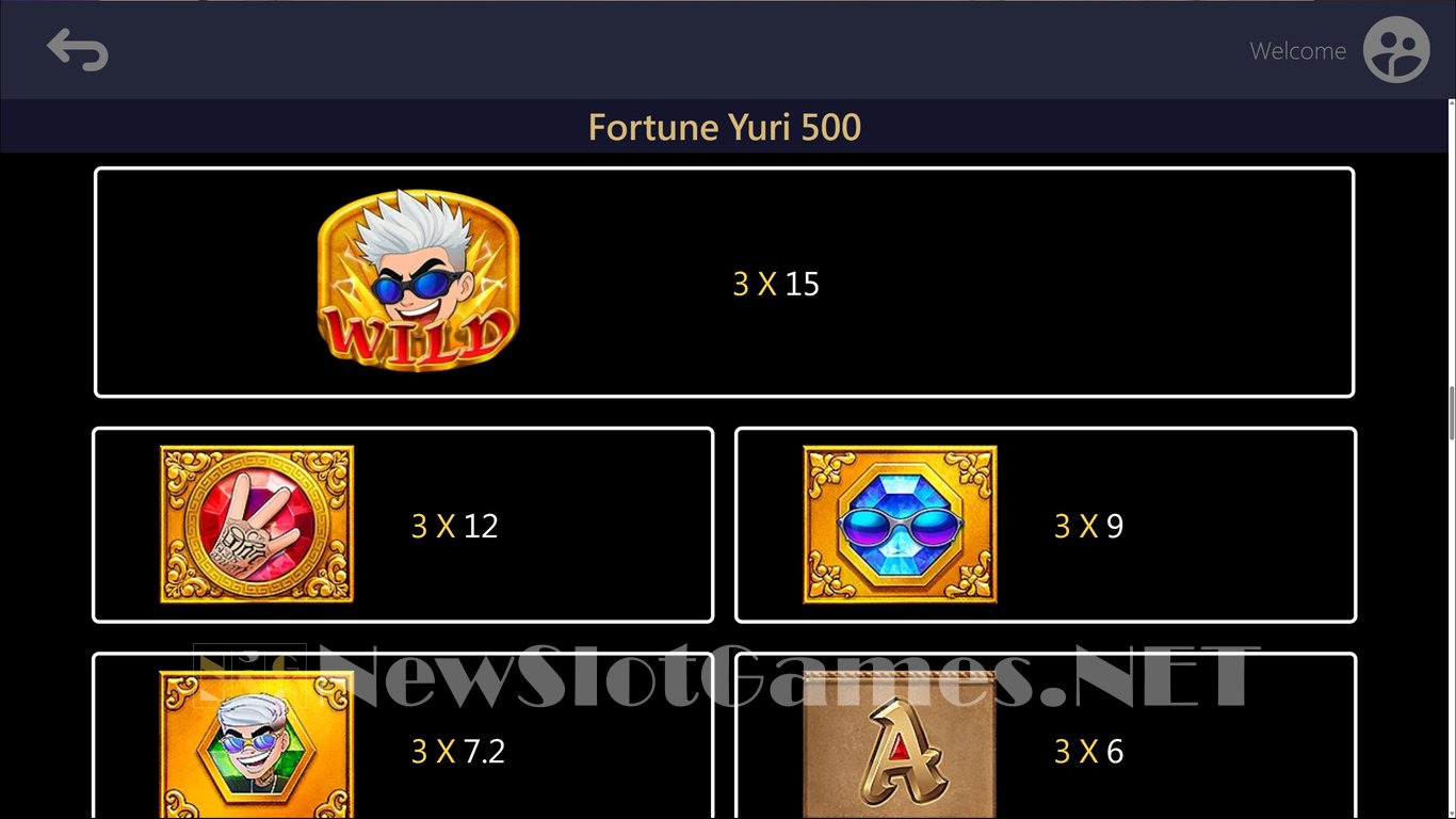 Fortune Yuri 500 Slot Slot Image in Demo - pic. 5
