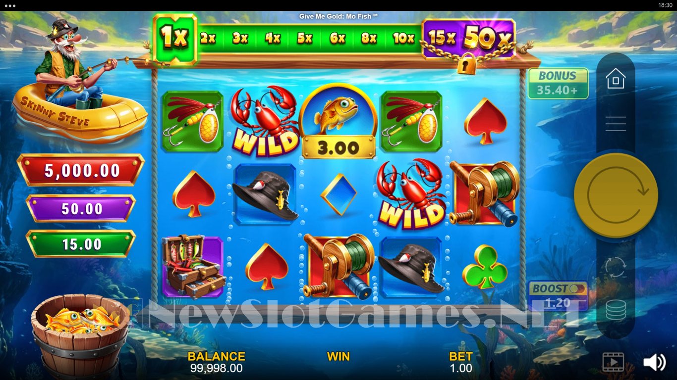 Give Me Gold Mo Fish Slot Slot Image in Demo - pic. 2