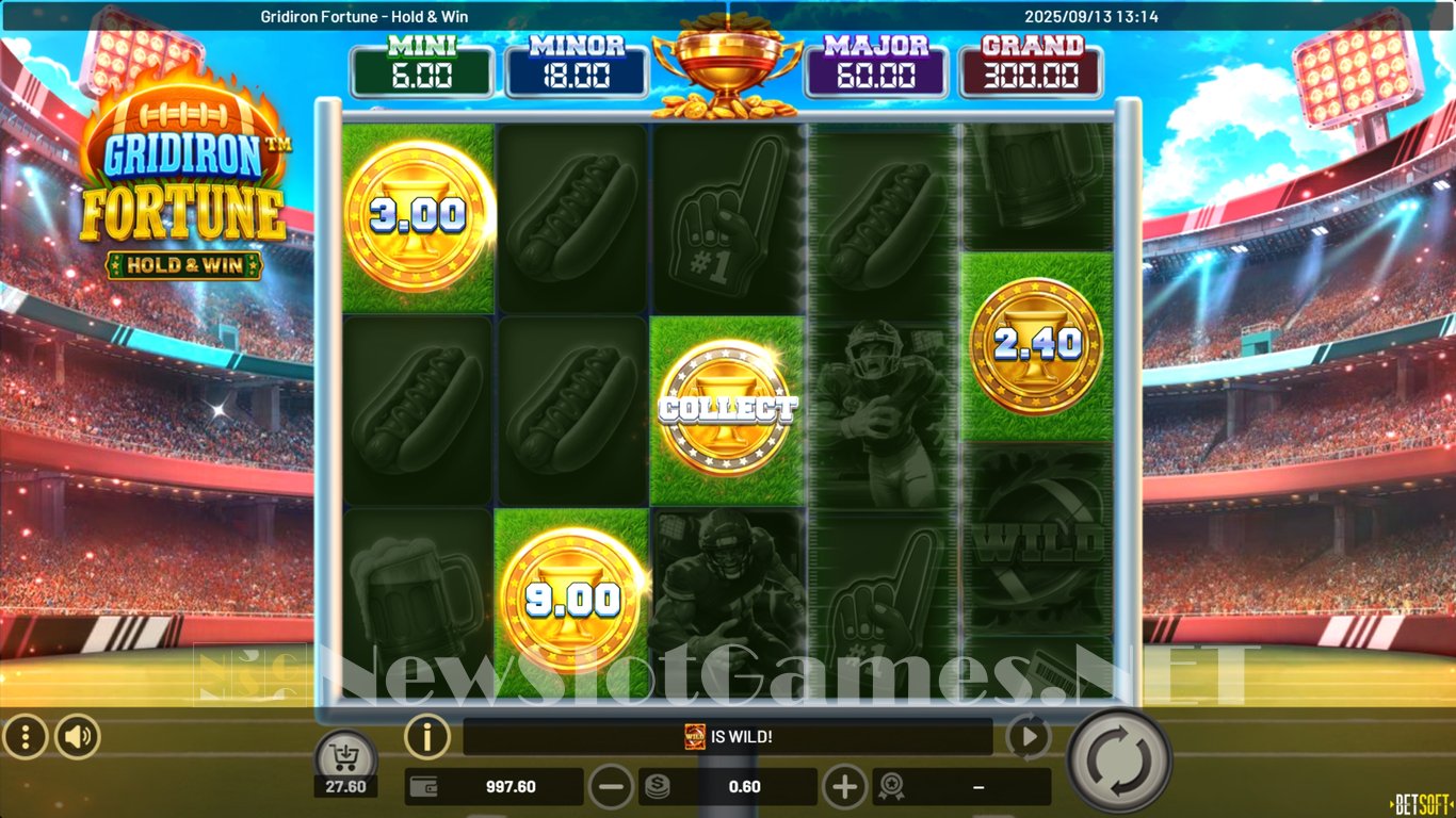 Gridiron Fortune Hold & Win Slot Slot Image in Demo - pic. 2