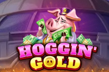 Hoggin Gold Slot Logo